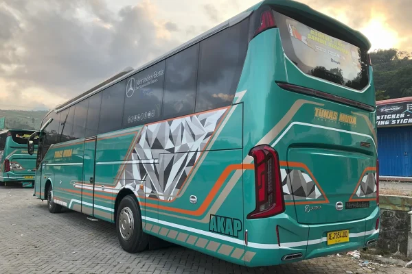 “ANGAMARA” Executive Plus 28 Seats