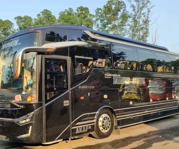 “SKRIEN” Executive Pls 32 Seats “SKRIEN” Executive Pls 32 Seats