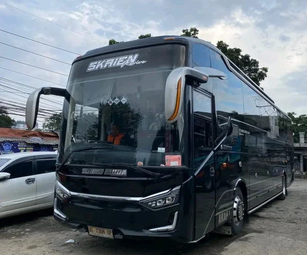 “SKRIEN” Executive Plus 32 Seats (1) “SKRIEN” Executive Plus 32 Seats (1)